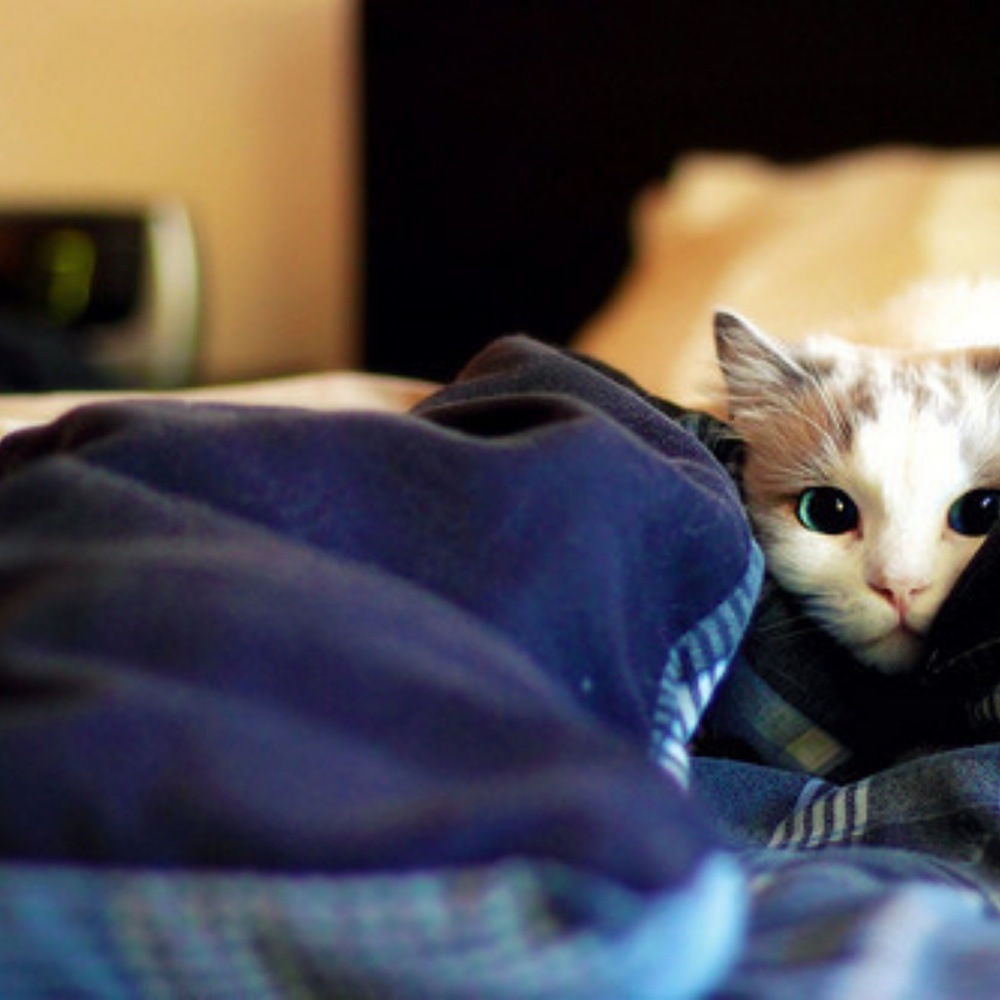 Meet your Posher, Sohee